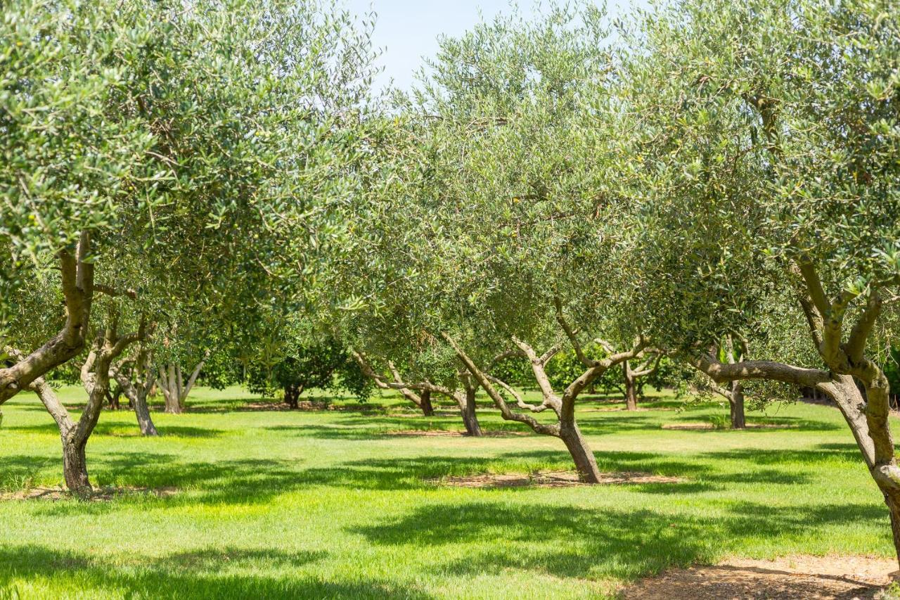 Villa Lagoon Sa Pobla Εξωτερικό φωτογραφία