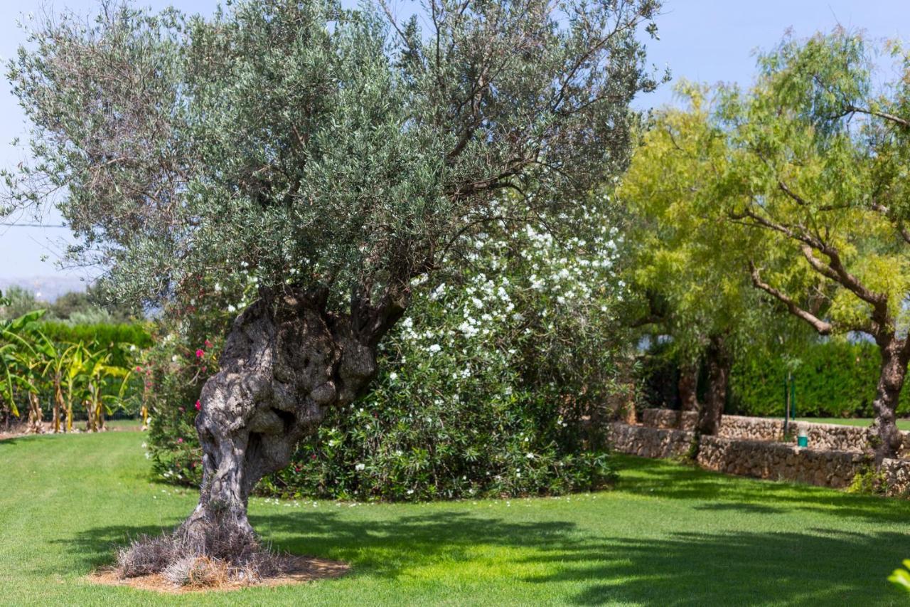 Villa Lagoon Sa Pobla Εξωτερικό φωτογραφία